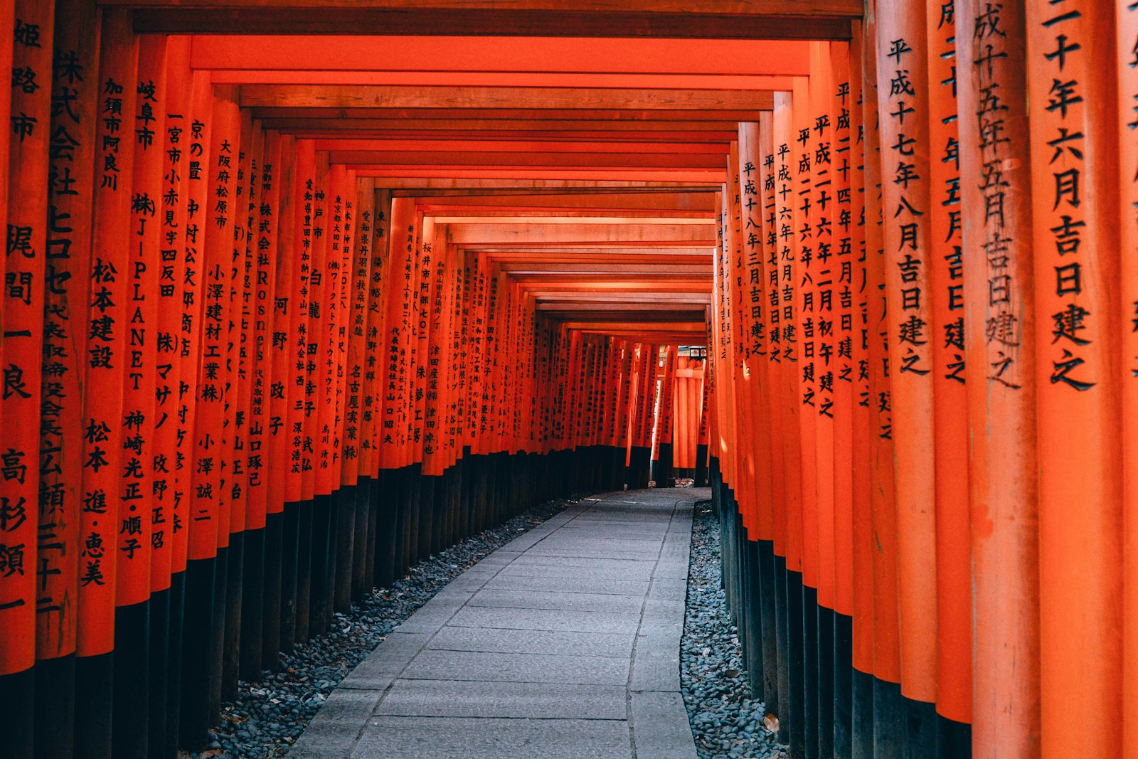 A corridor of red torii gates at Fushimi Inari